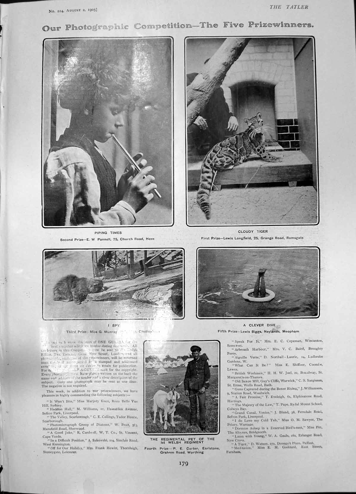 Antique Print Boy Piping Regimental Pet 1St Welsh George Hirst Bowling 1905