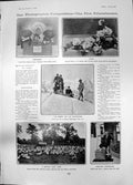 Old Print Summit Wetterhorn Suffolk Duck Farm Roses Pamela Congreve 1905 20th
