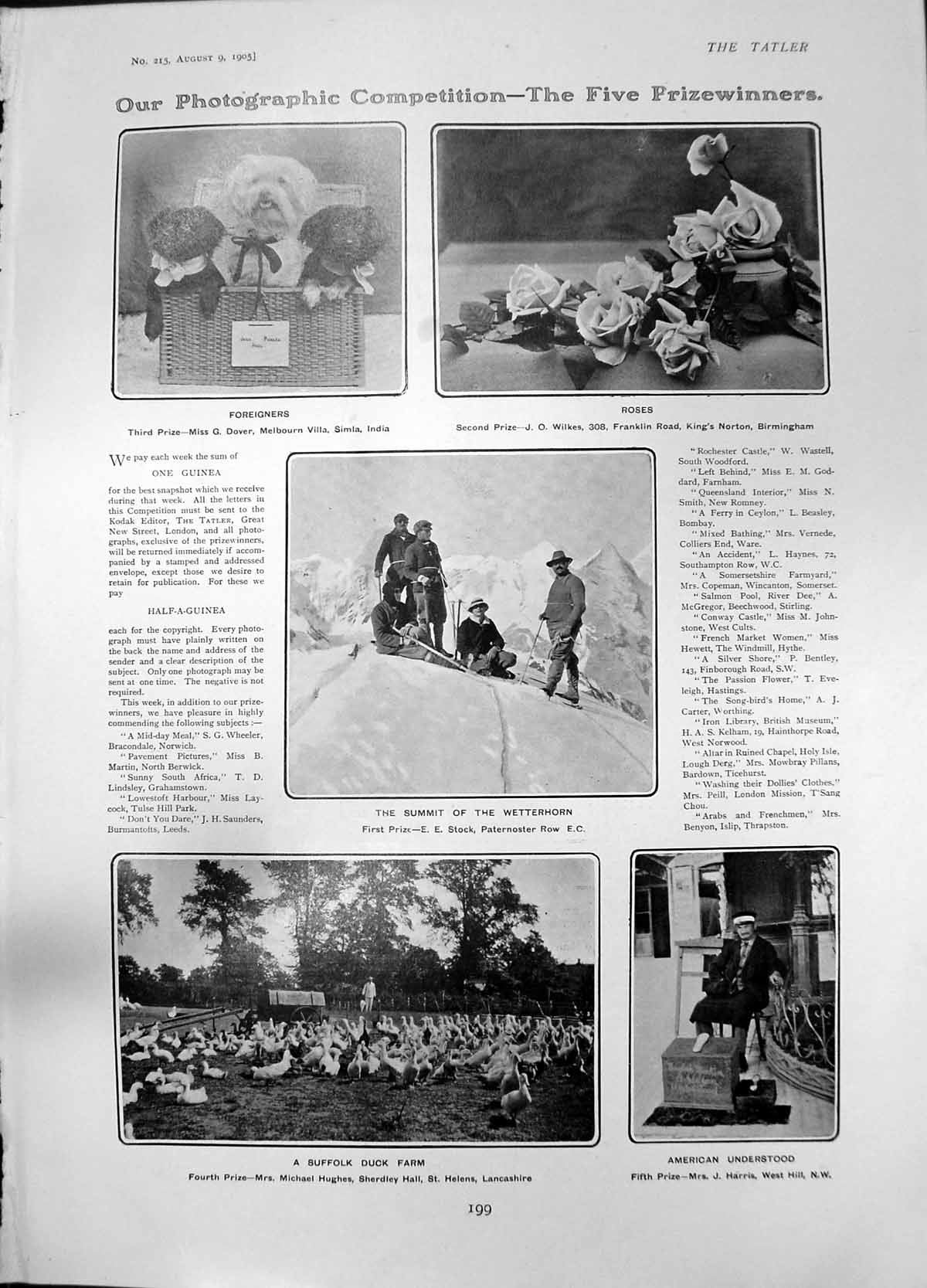 Old Print Summit Wetterhorn Suffolk Duck Farm Roses Pamela Congreve 1905 20th