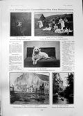 Antique Print St Johns Cambridge Seaweed Gatherers Normandy P Congreve 1905