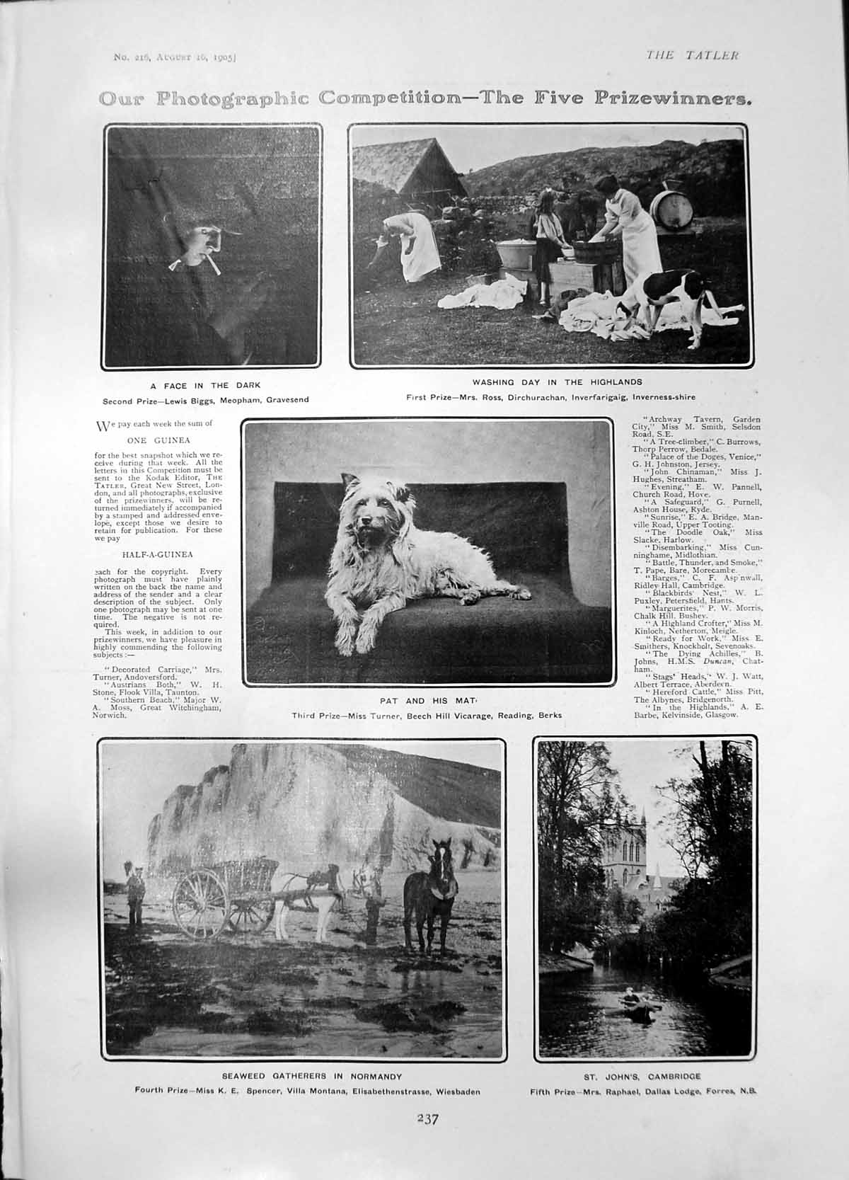 Antique Print St Johns Cambridge Seaweed Gatherers Normandy P Congreve 1905