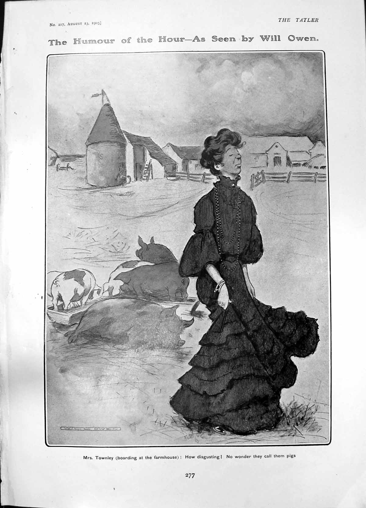Antique Old Print Humour Will Owen Mrs Townley Boarding Farmhouse Pigs 1905