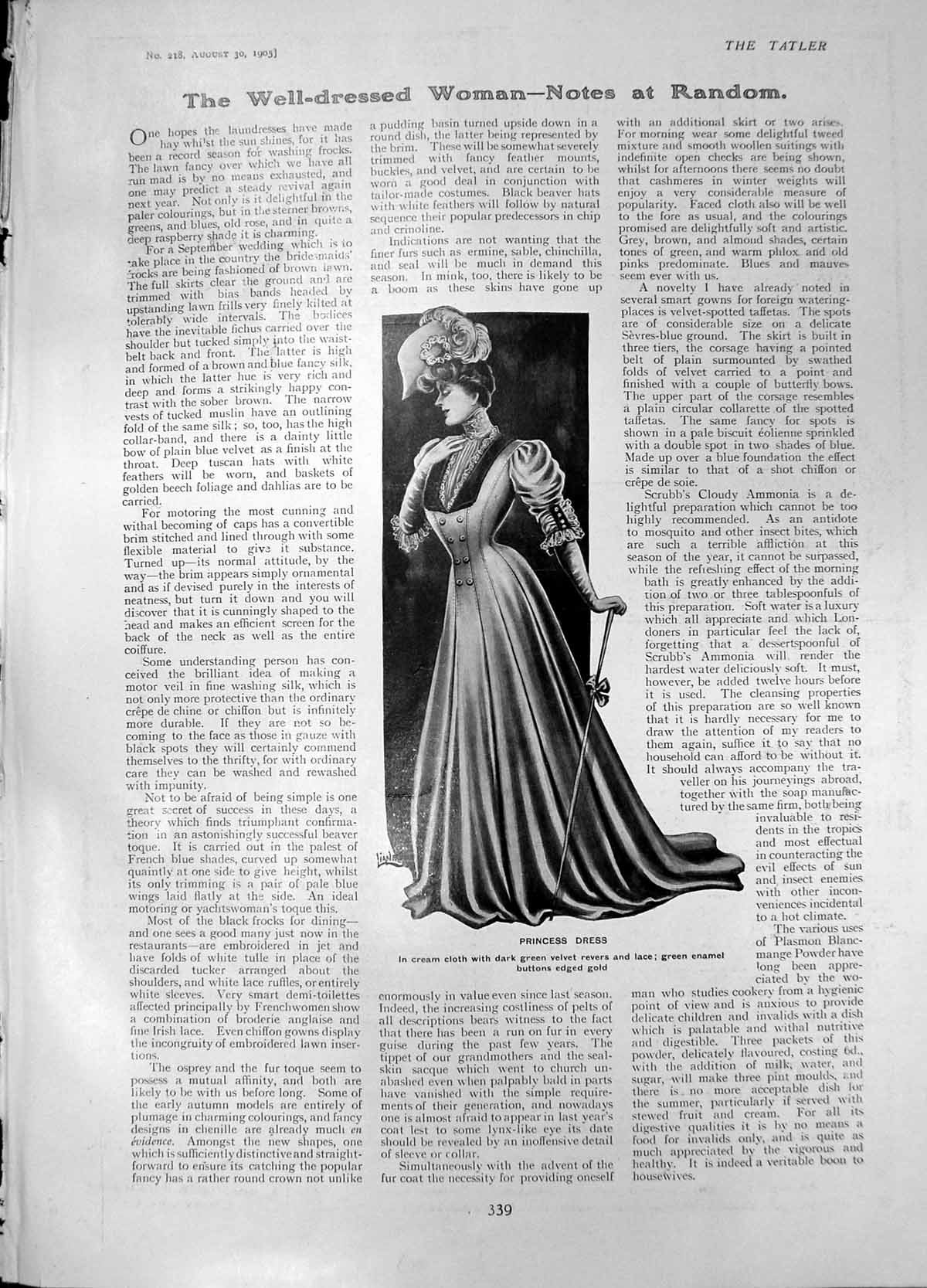 Old Print Princess Dress Cream Cloth Polly Bertha Viscount Duncannon 1905 20th