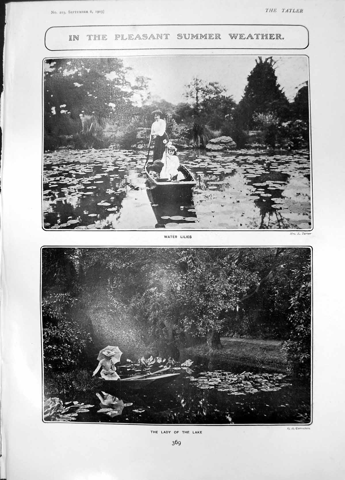Old Summer Water Lilies Lady Lake House Ashburton Civil War Cavalier1