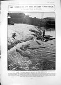 Antique Old Print Score Crocodiles Basking Sun Florida Crocodile Farm 1905 20th
