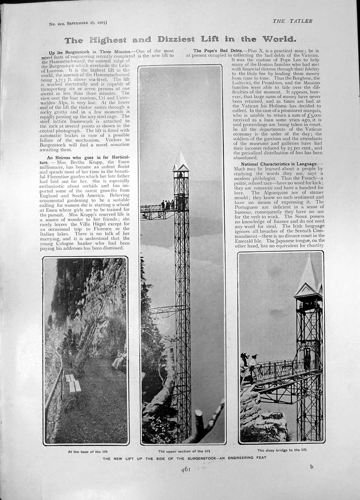 Antique Print New Lift Side Burgenstock Bridge Dogs Cemetery Hyde Park 1905