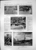 Antique Old Print Grevys Zebra Sundial Car Water Splash Kiss Cat Bird 1905 20th