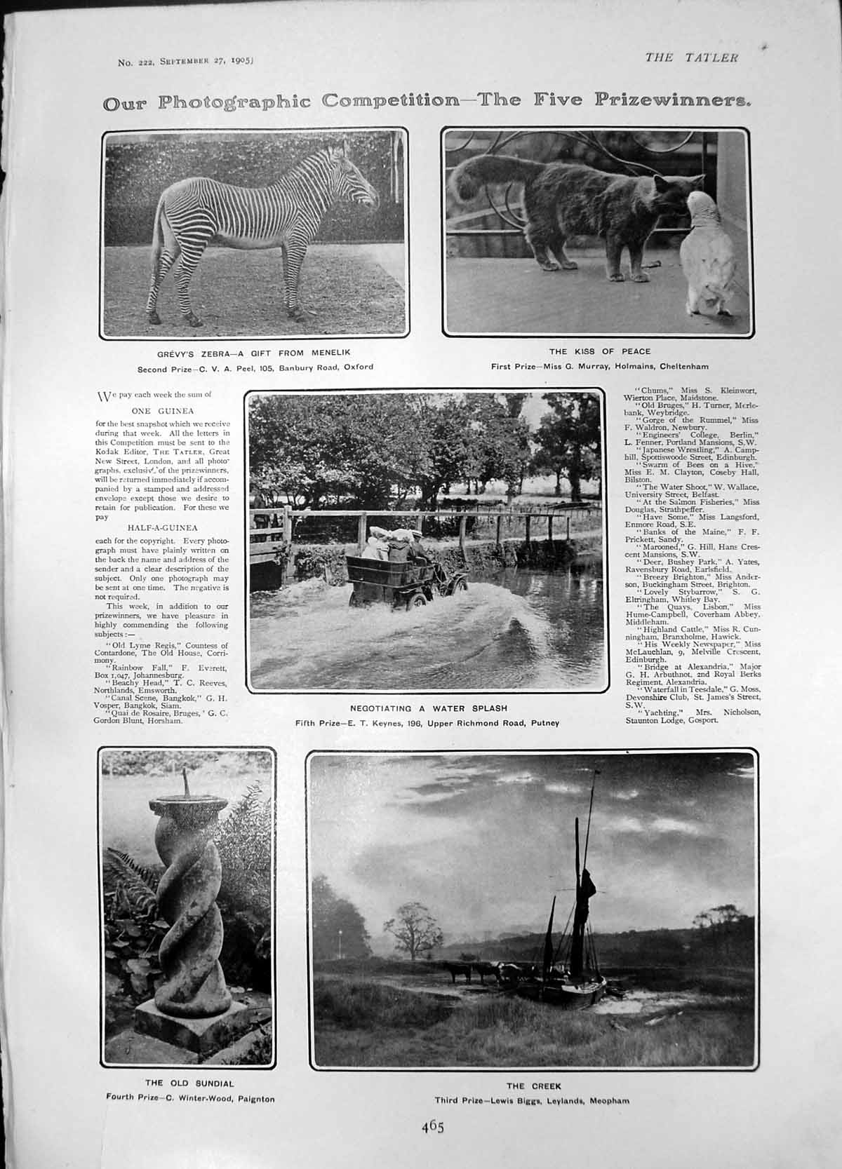Antique Old Print Grevys Zebra Sundial Car Water Splash Kiss Cat Bird 1905 20th