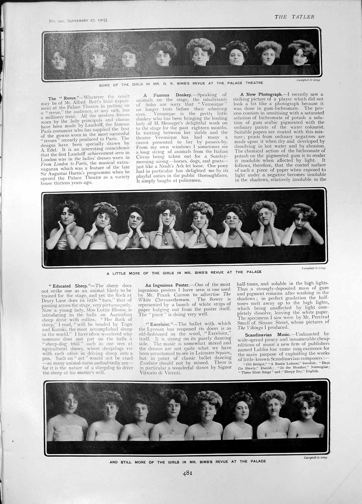 Old Girls Mr Sims Revue Palace Welsh Coracle Fishermen Tatler Joke 19 20th