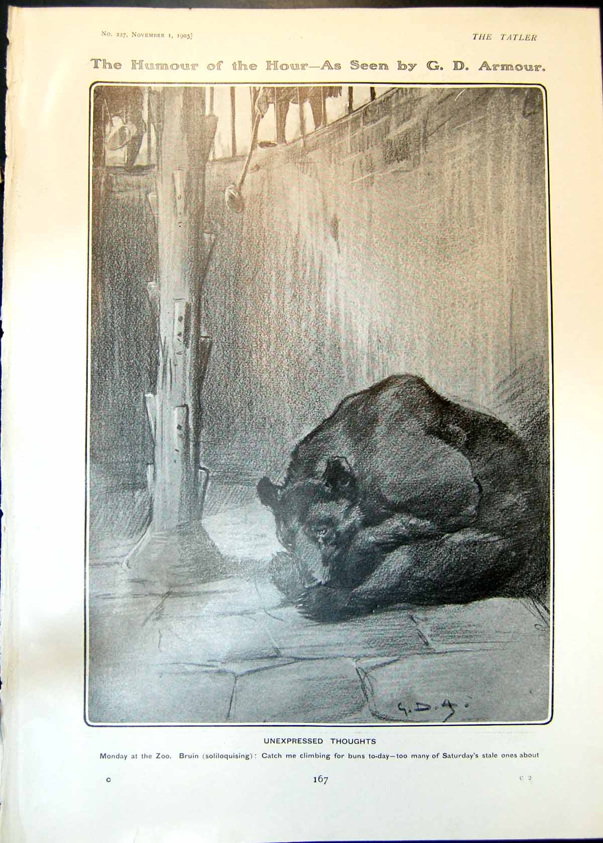 Antique Print Humour Hour G Armour Bruin Bear Zoo West Kent Foxhounds 1905 20th