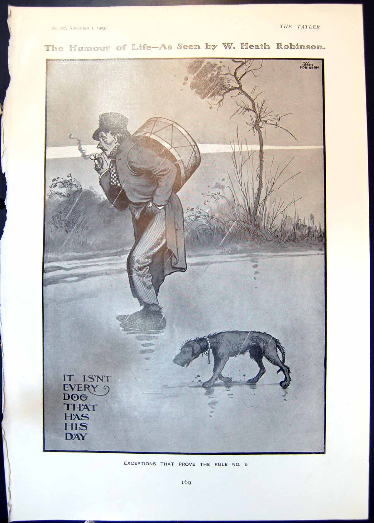 Antique Print Humour W Robinson Thin Dog Drummer Countess Shaftesbury 1905 20th