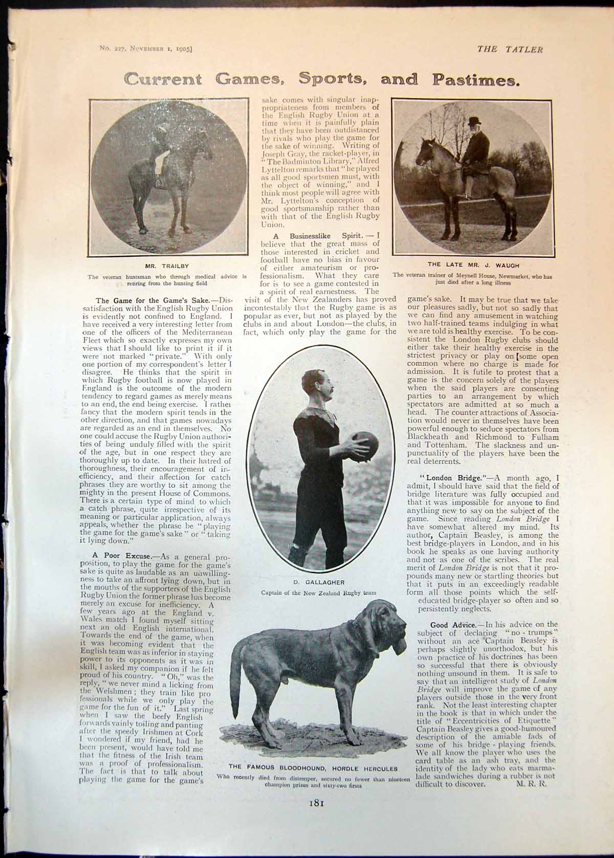 Old Mr Trailby Late Mr J Waugh D Gallagher Bloodhound Dinner Dress190 Victorian