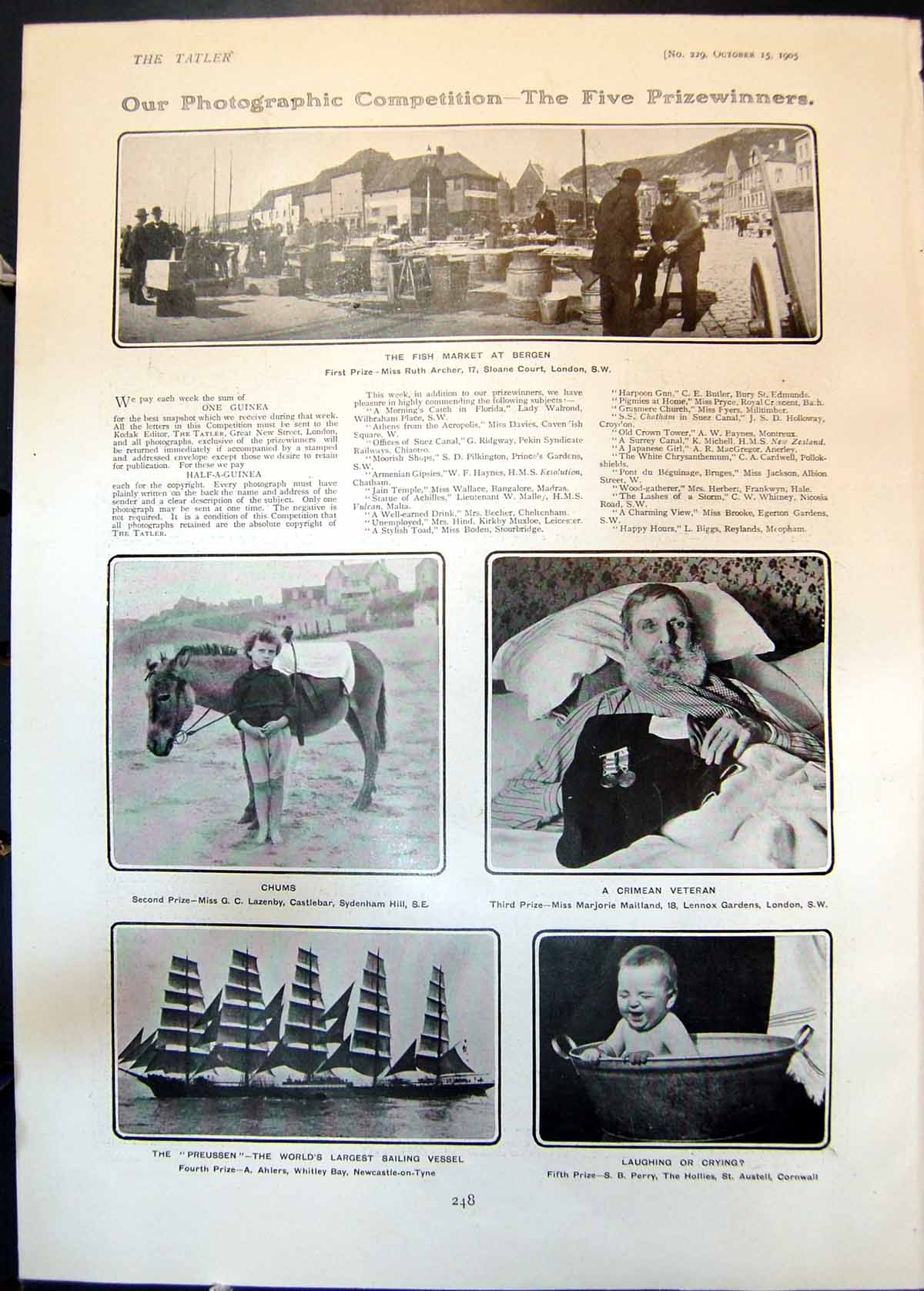 Old Fish Market Bergen Crimean Veteran Mischa Elman Turn Palace Th 19 20th