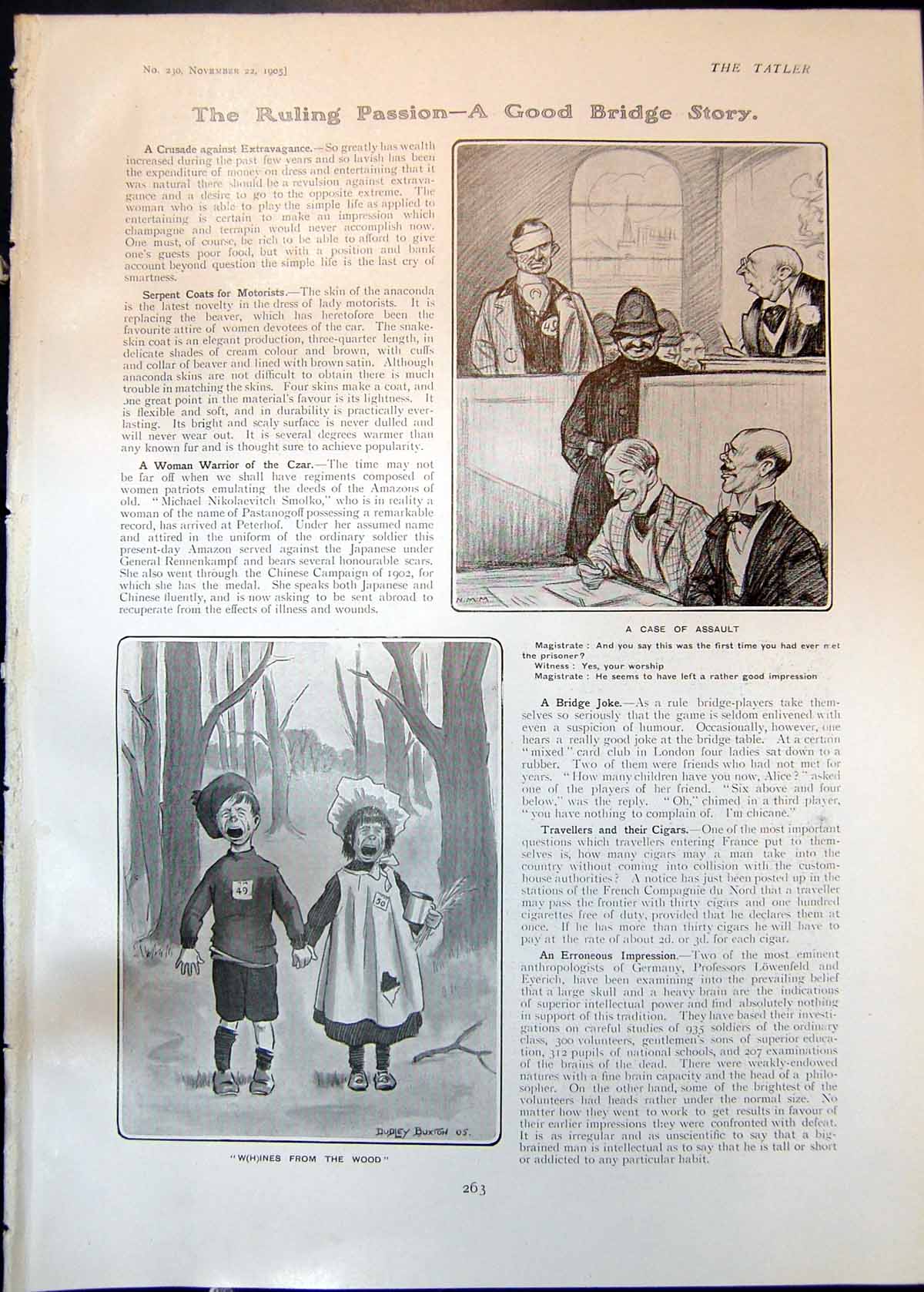 Old Print Whines From Wood Dudley Buxton Napoleons Chair Donkey Cart 1905 20th