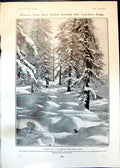 Old Wintry Day Engadine Snow Larches Robinson Crusoe Indian Sioux 190 20th