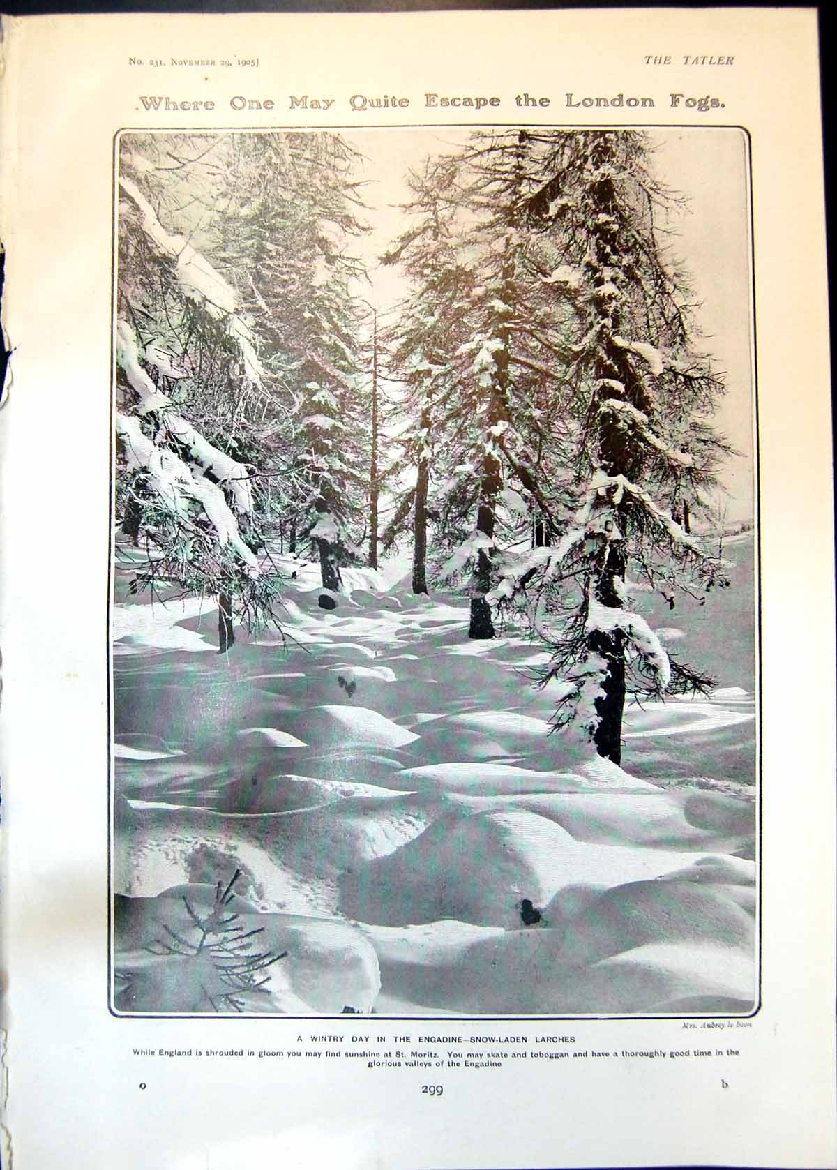 Old Wintry Day Engadine Snow Larches Robinson Crusoe Indian Sioux 190 20th