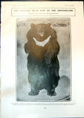 Old Print Walking Black Bear Hippodrome Perils American Photographer 1905 20th