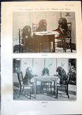 Antique Old Print Tis Dogged Does It Work Play Three Dogs Study Bridge 1905