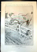 Antique Old Print Humour G Armour Horse Throws Rider Little Jack Horner 1905