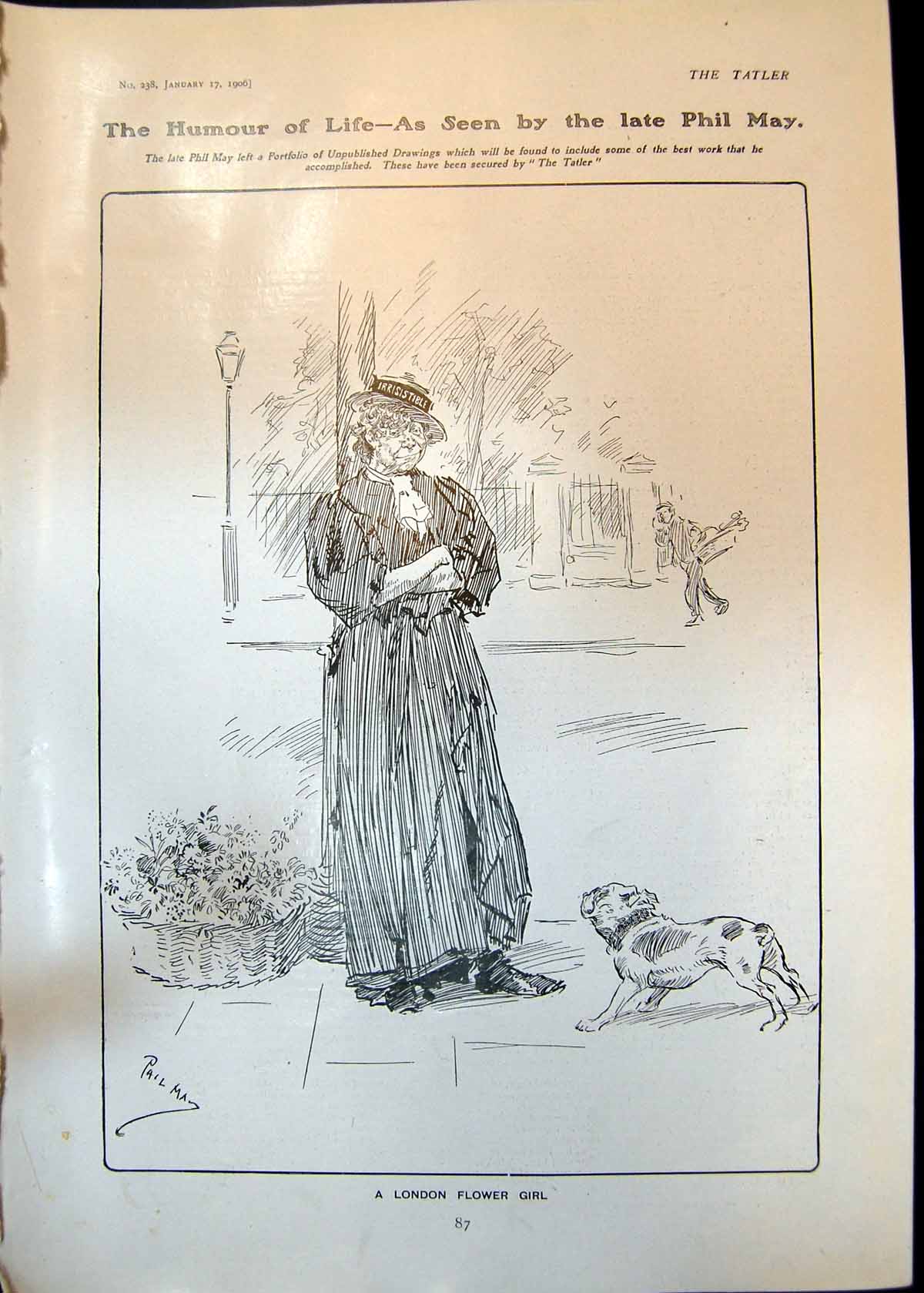 Original Old Antique Print Humour Life Phil May London Flower Girl Dog 1906