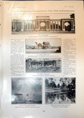Old Print Hyde Park Corner Indian Camel Cart Asses Strategy Problem 1906 20th