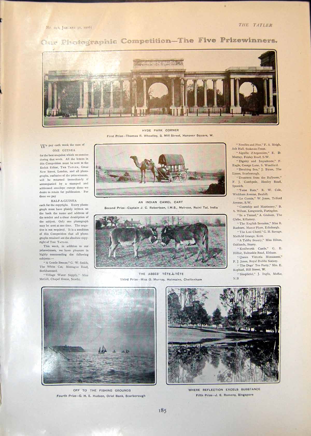 Old Print Hyde Park Corner Indian Camel Cart Asses Strategy Problem 1906 20th