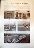 Antique Print Cross Country Championship Cup Ties Waterloo Cup Hoprend 1906