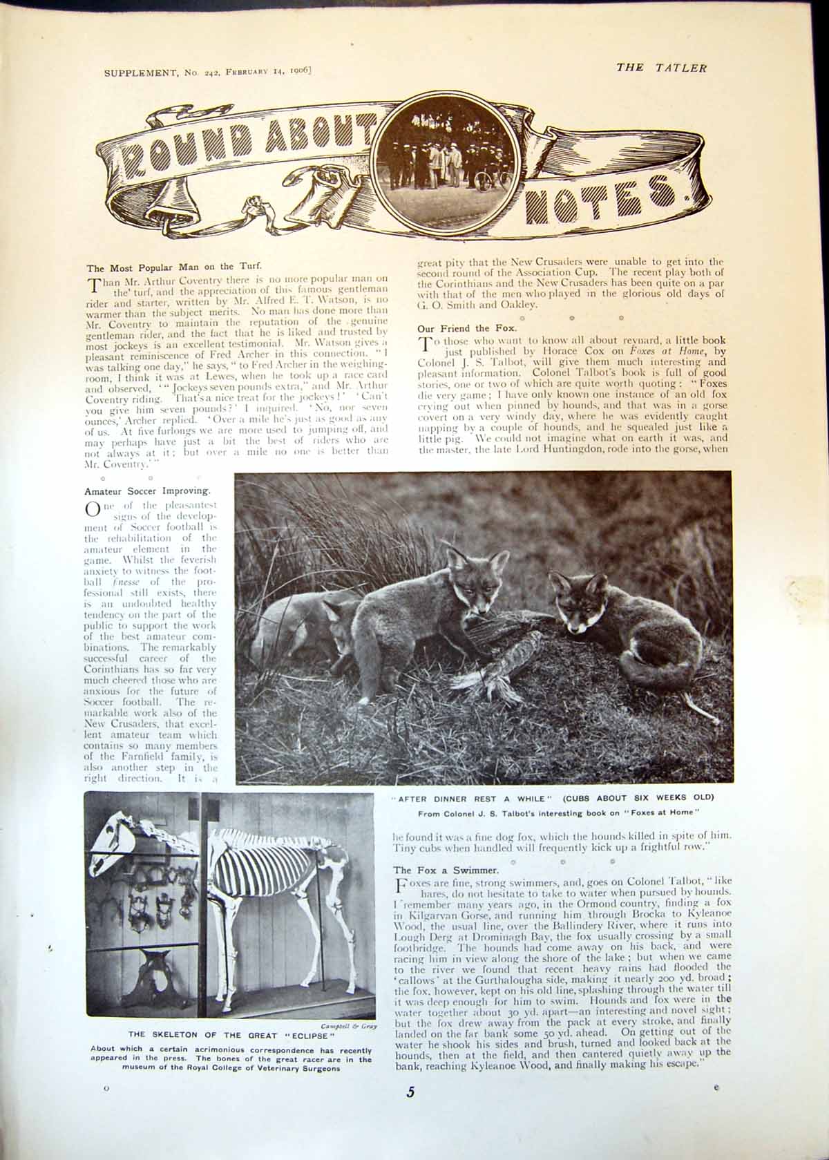 Antique Old Print Fox Cubs Skeleton Eclipse Horse Rules Etiquette Golf 1906