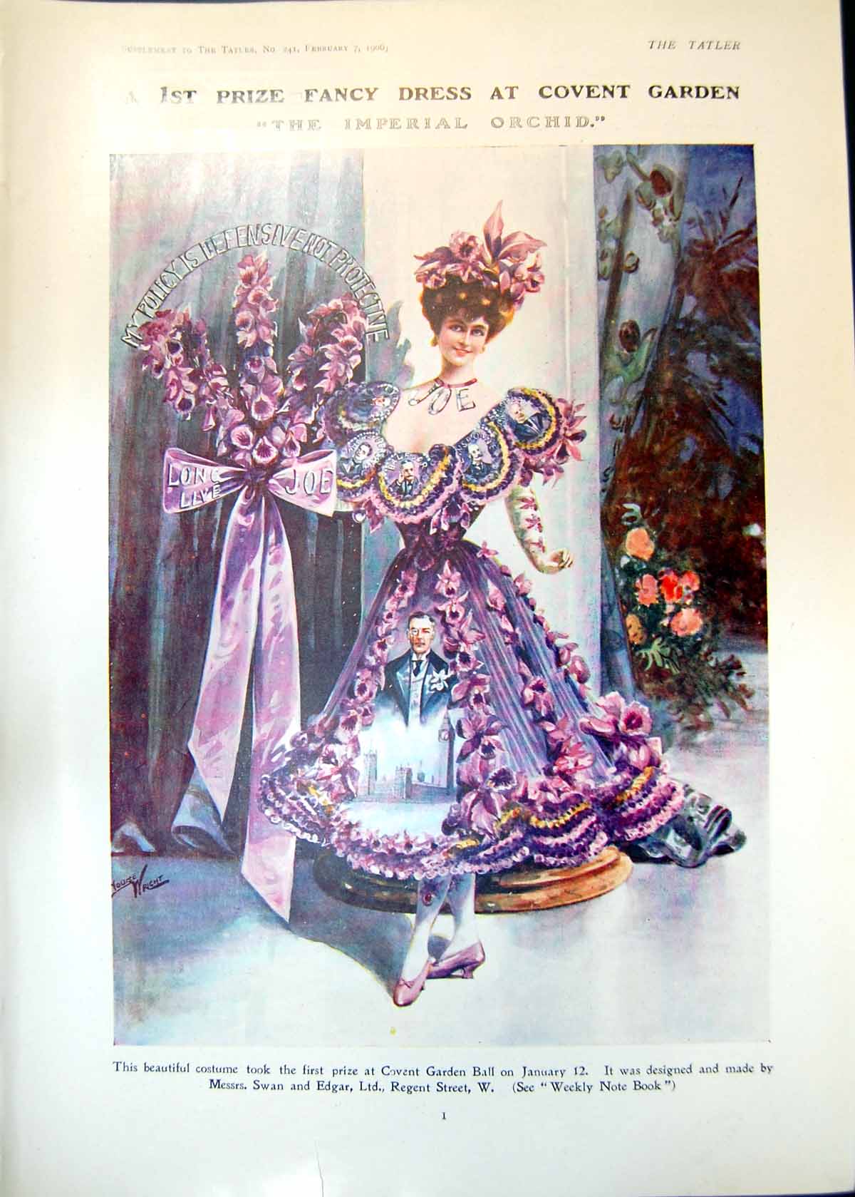 Old Ist Prize Fancy Dress Covent Garden Imperial Orchid Rose Begarnie