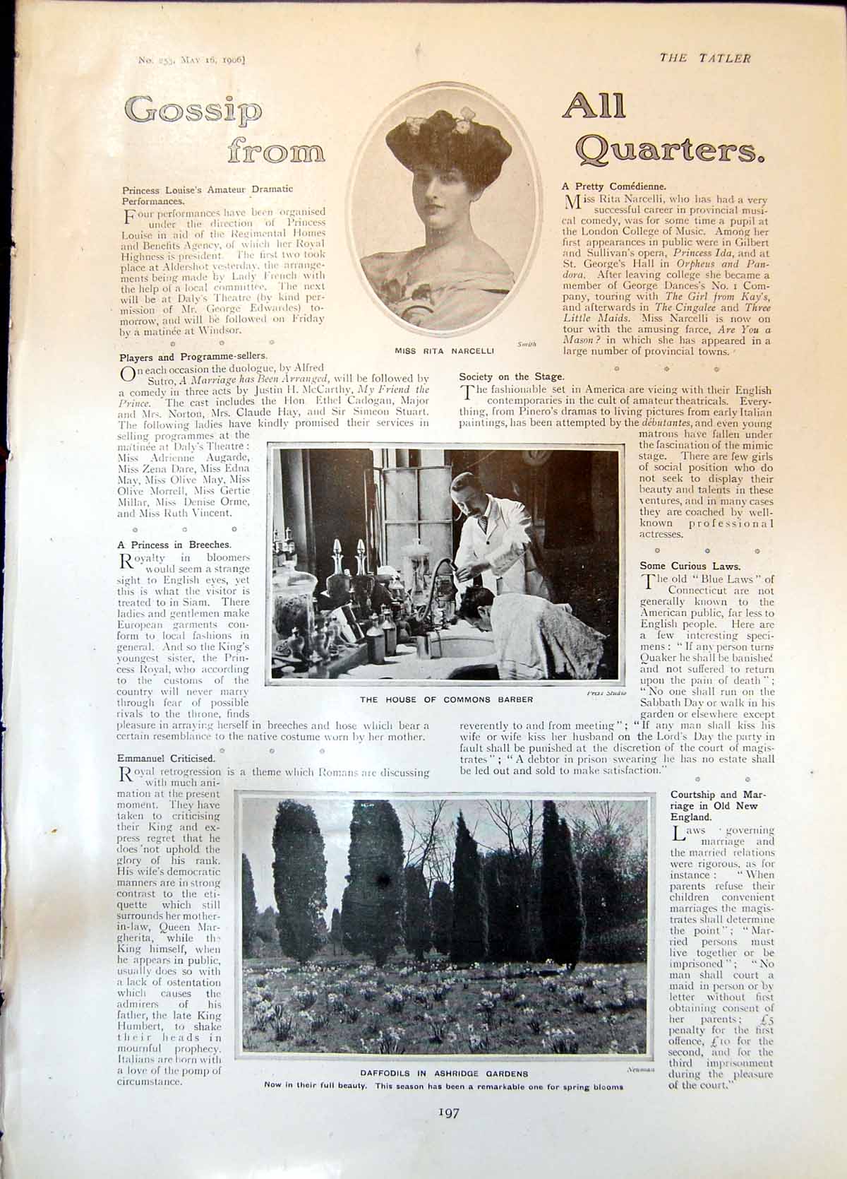 Old Rita Narcelli House Commons Barber Daffodils Ashridge Gardens 190 Victorian