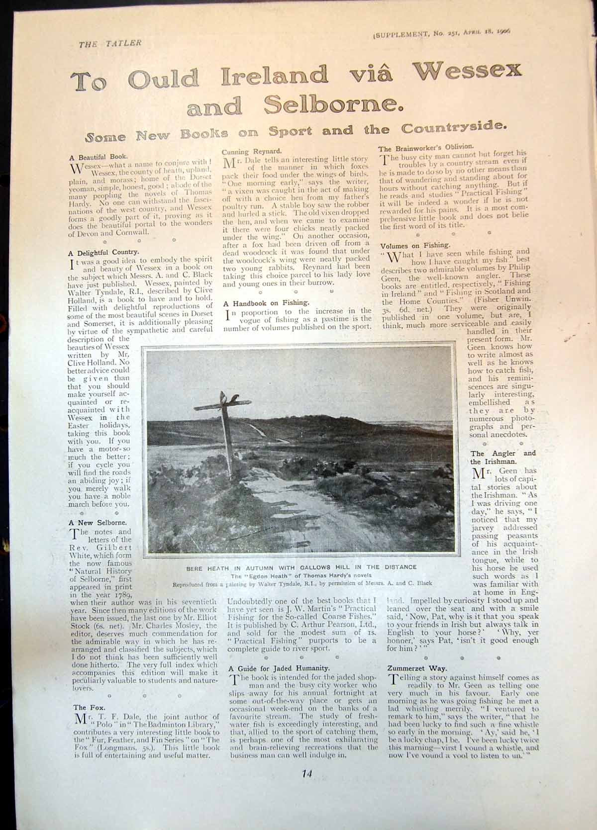 Old Print Bere Heath Autumn Gallows Hill Egdon Heath T Hardys Novel 1906 20th