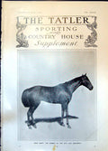 Original Old Antique Print Horse Dean Swift Winner City Suburban 1906 20th