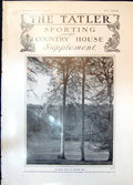 Old Antique Print Queen Beech Ashridge Park Tree Tallest Trunk 70 Ft 1906