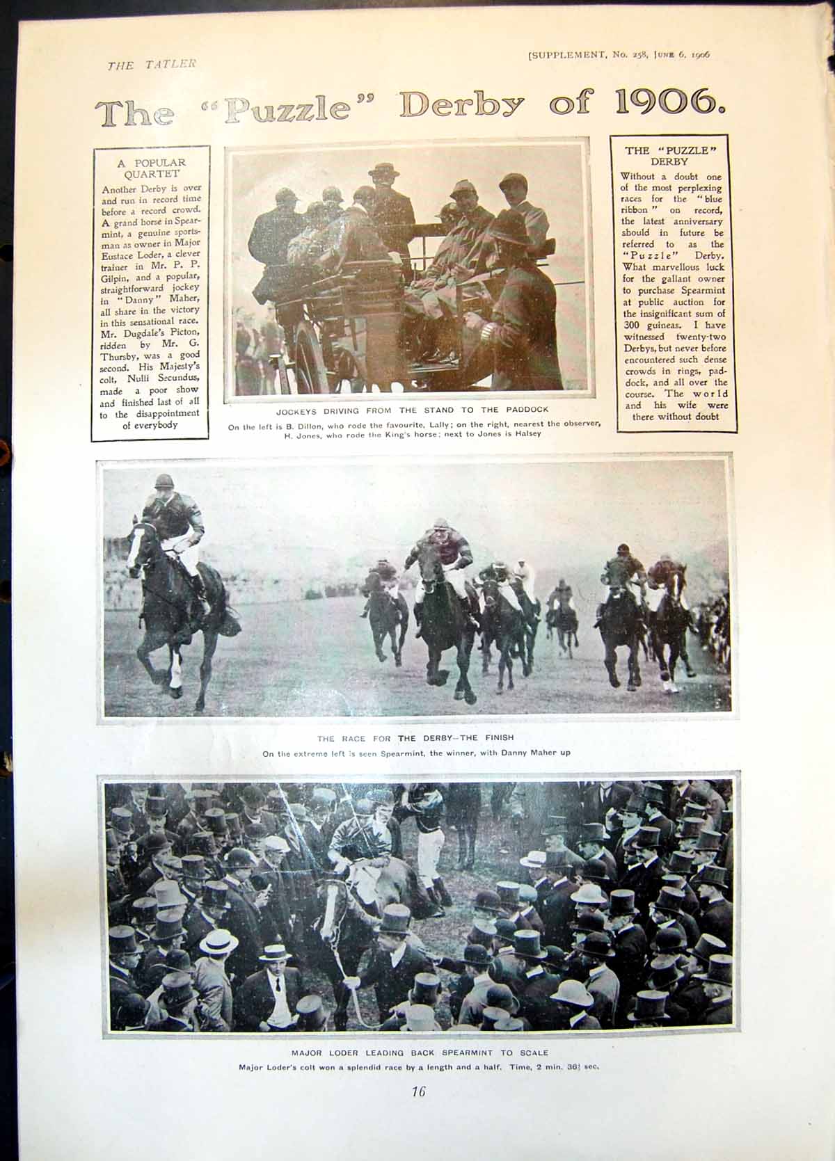 Old Derby Spearmint Winner Major Loder Garden Border Wynard Park 1906 20th