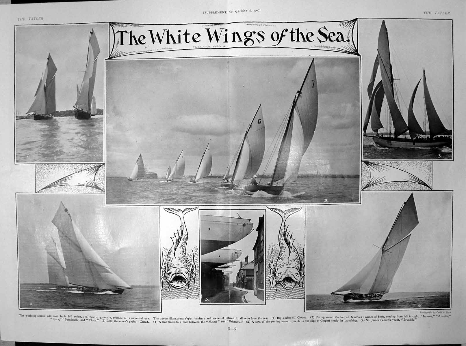 Old Yachting Season Cowes Imvura Annetta Fairy Speedwell Cariad 1906 20th