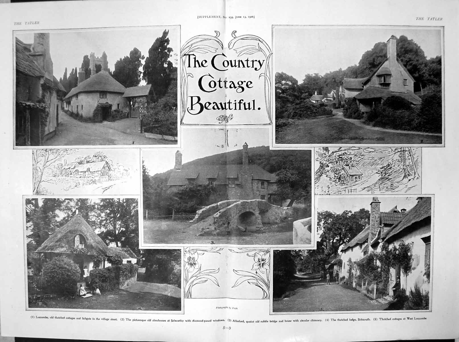 Antique Print Thatched Cottages Luccombe Sidmouth Selworthy Allerford 1906 20th