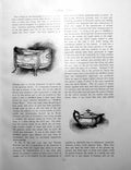 Old Sheffield Plate Bonbon Dish Teapot Tray CandlestickPages 1901