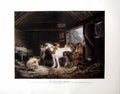 Original Old Antique Print Fac-Simile Reproduction Colour Farmer'S Stable 1901