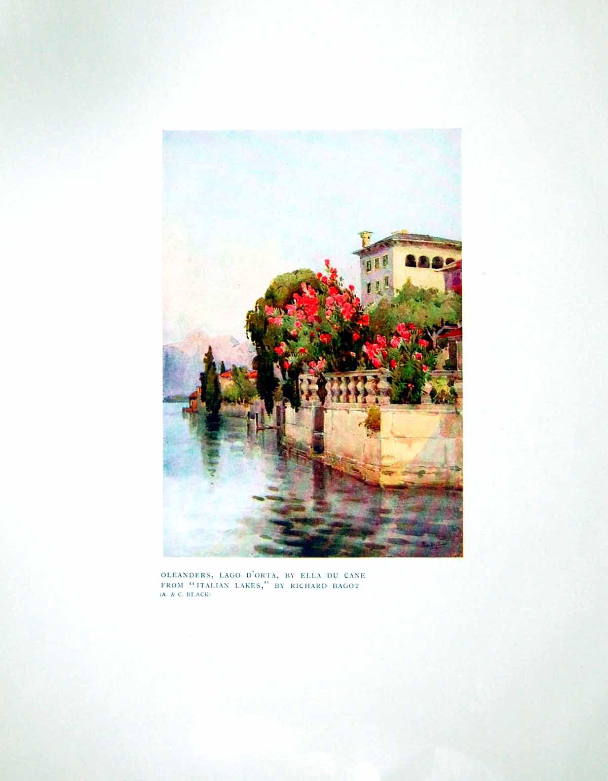Antique Old Print Oleanders Lago D'Orta Ella Du Cane From Italian Lakes 1906