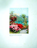 Antique Old Print Azaleas Lago Di Como Ella Du Cane From Italian Lakes 1906