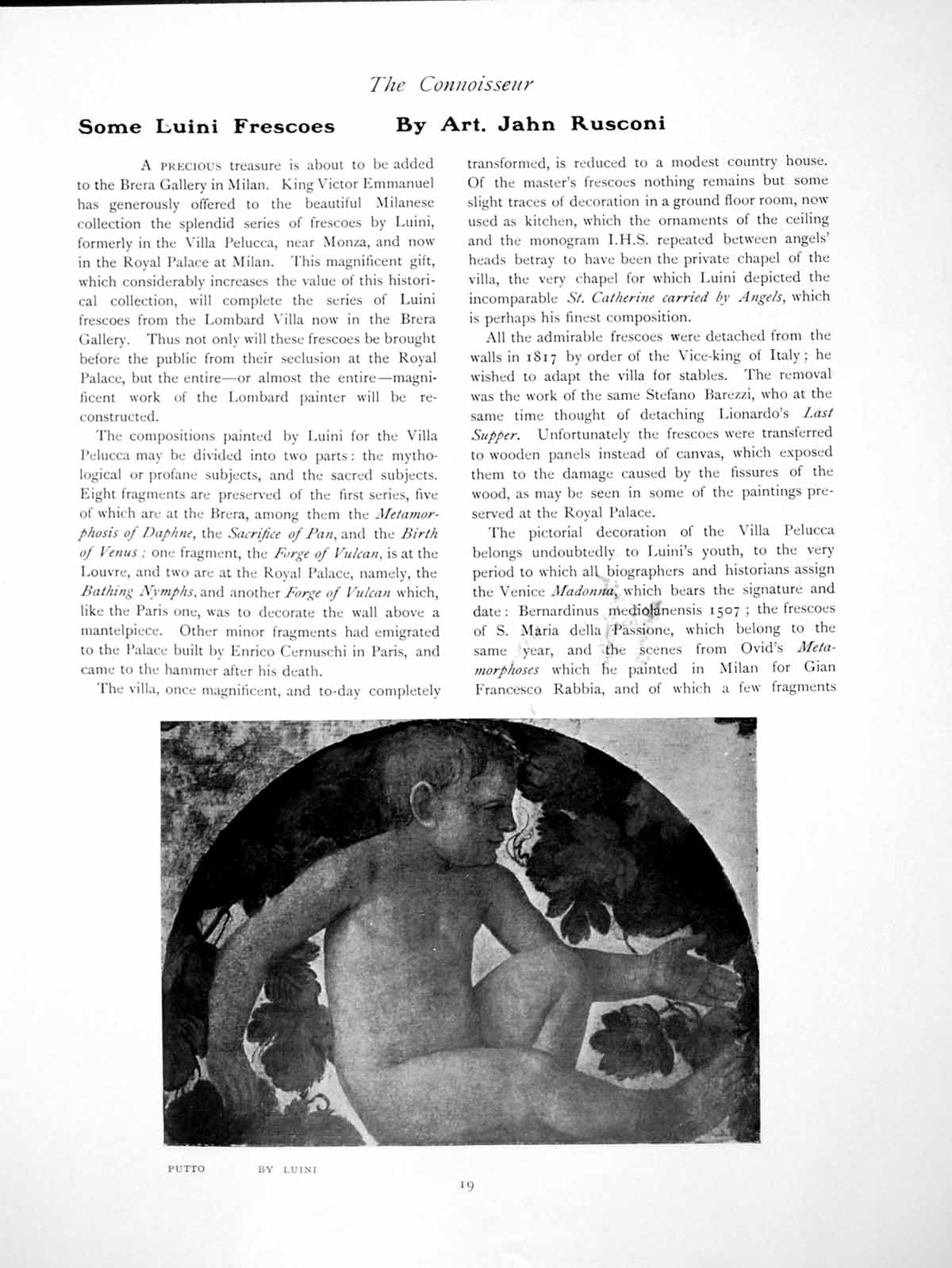 Old Antique Print Some Luini Frescoes Putto Gathering MannaPages 1907