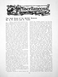 Antique Old Print The GRoom British Museum Cellini Cup FibulaPages 1910