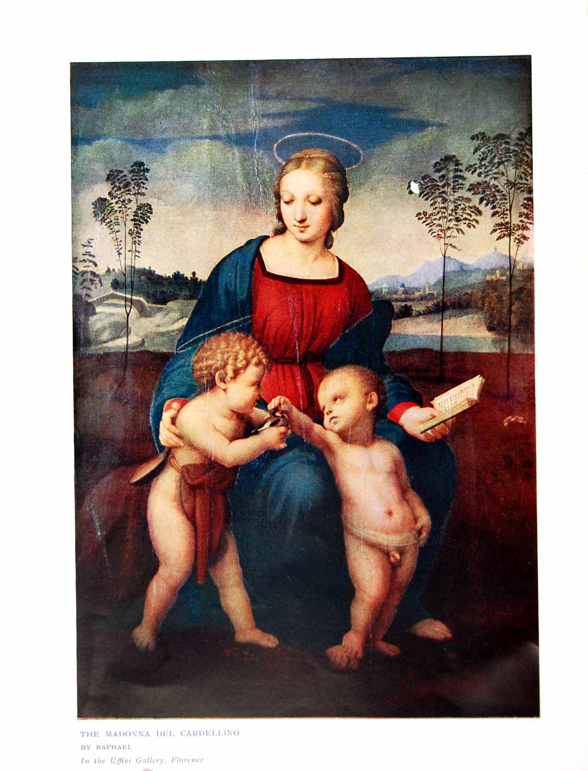 Old Antique Print The Madonna Del Cardellino Raphael Uffizi Gallery 1911 20th