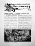 Antique Print Tapestries France Examples John M Scott'S Coll.Pages 1911