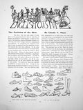 Original Old Antique Print English Costume The Evolution The ShoePages 1914