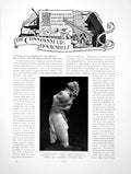Antique Old Print Bookshelf Dresden Statue From Greek ScupturePages 1914