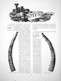 Old Antique Print Notes Carved Ivory Horn French FurniturePages 1915