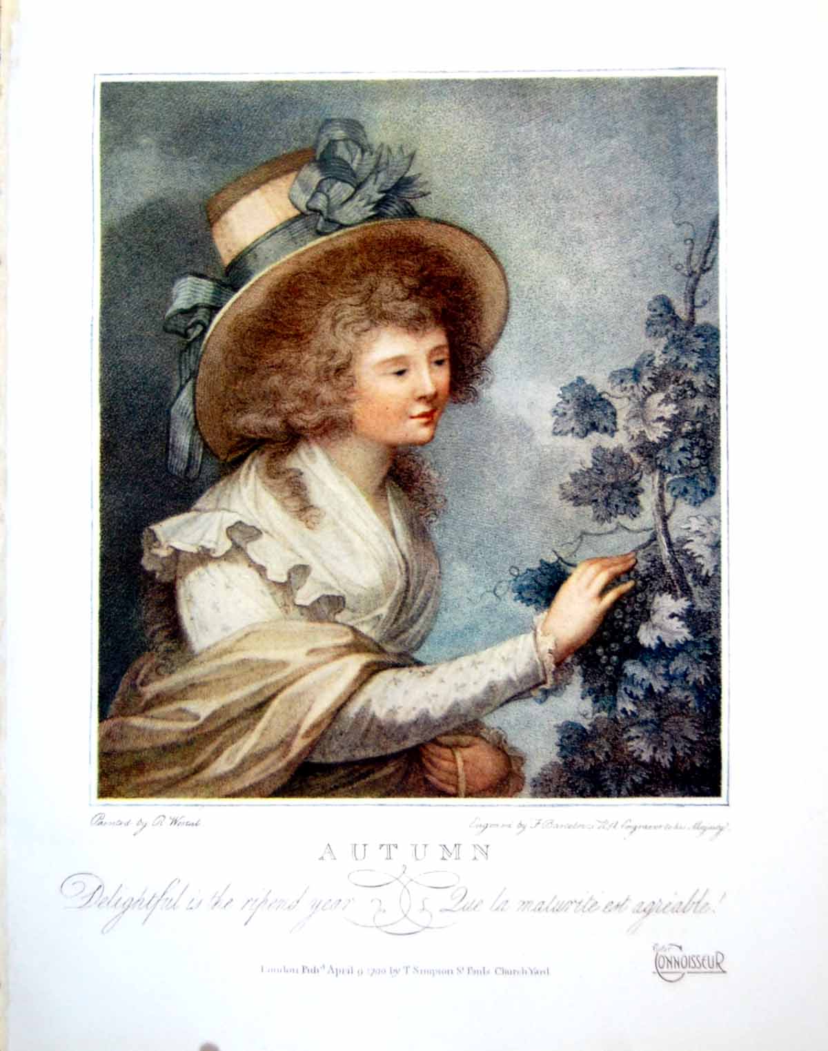 Old Print Autumn Delightful Is The Ripened Year Lady Picking Grapes 1919 20th