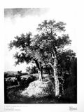 Original Old Vintage Print A Woody Landscape At Colney By John Crome Trees 1919