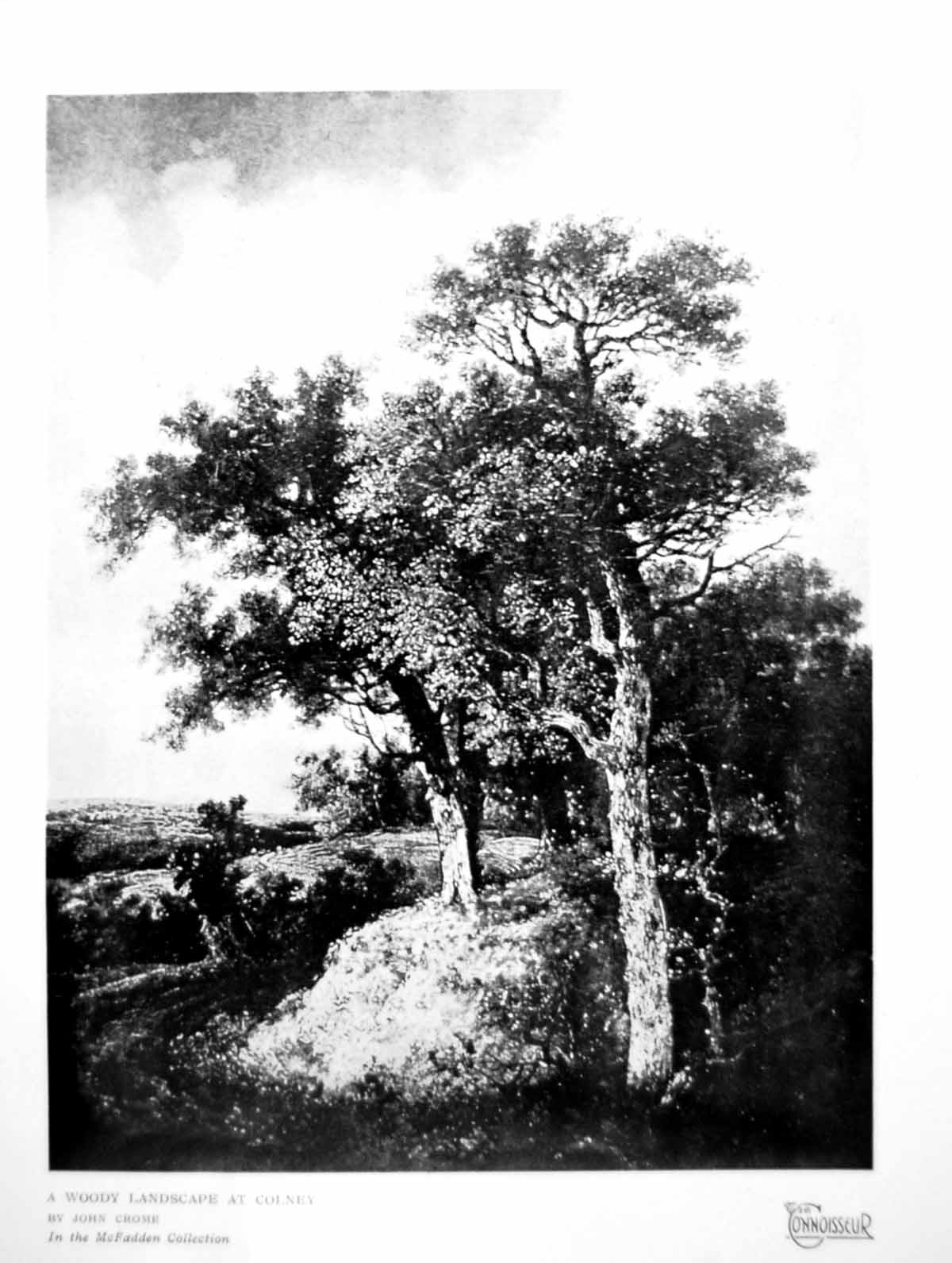 Original Old Vintage Print A Woody Landscape At Colney By John Crome Trees 1919